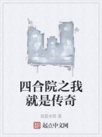 四合院之我就是传奇