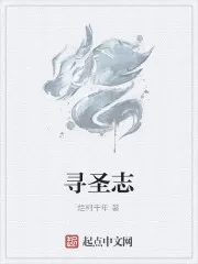 寻圣志