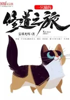 一只猫的修道之旅