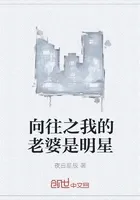 向往之我的老婆是明星