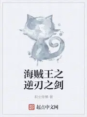 海贼之逆刃之剑
